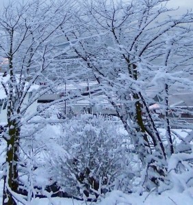 Photo of snowy field