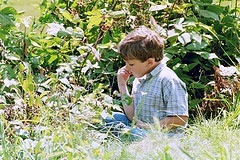 berry picking