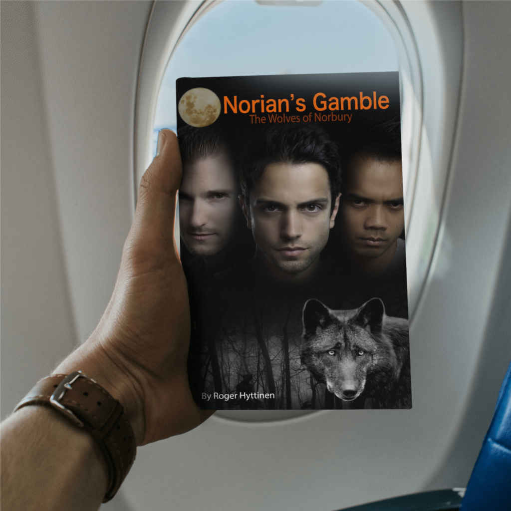 Norian's Gamble cover image