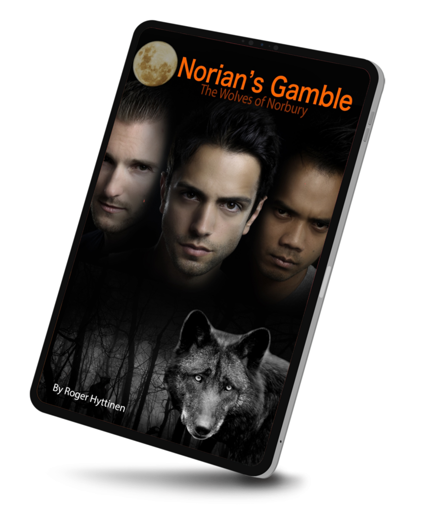Norian's Gamble book cover image